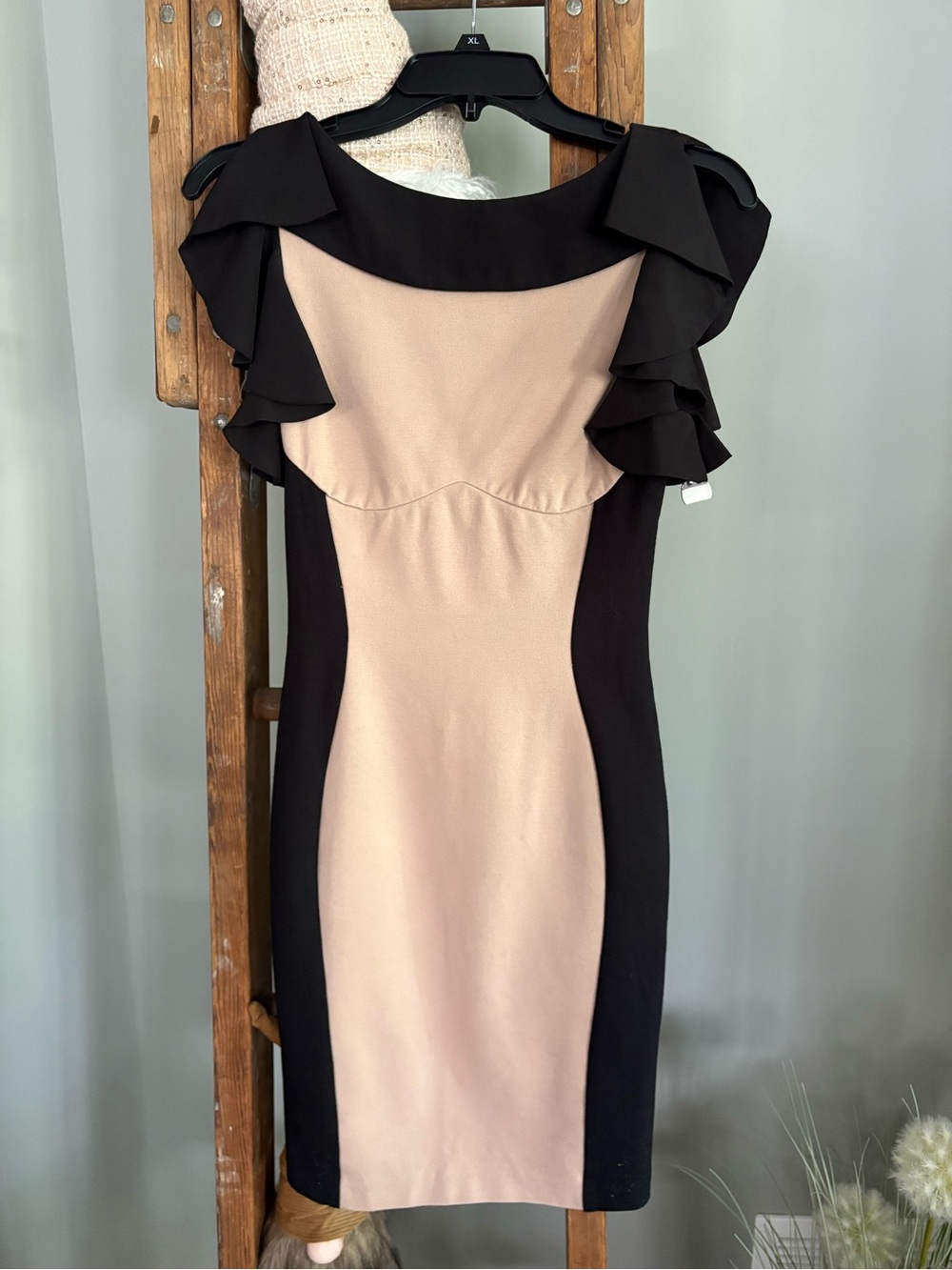 Black and Blush Ruffle Sheath Dress by Ted Baker